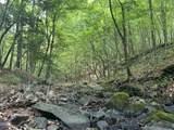 0 Beaver Dam Road - Photo 13