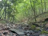0 Beaver Dam Road - Photo 3
