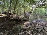 0 Beaver Dam Road - Photo 5