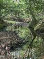 0 Beaver Dam Road - Photo 9