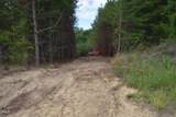 585 Briar Ridge Lane Extension - Photo 4