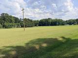 954 Blue Pond Road - Photo 3
