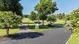 5303 Forest Oaks Drive - Photo 24