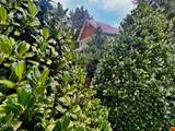 204 Nash Street - Photo 49