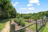 842 Campground Road - Photo 8