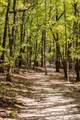 157 Hank Way - Photo 42