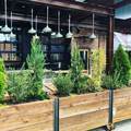 317 Morgan Street - Photo 33
