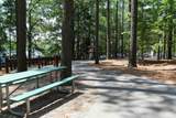 201 Mount Olive Trail - Photo 34