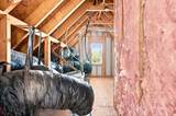 319 Danbury Court - Photo 48