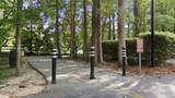 1006 Celandine Drive - Photo 65