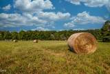 9223 Orange Grove Road - Photo 128