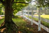 9223 Orange Grove Road - Photo 132
