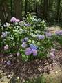 14033 Bold Run Hill Road - Photo 57