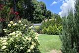 503 Carr Street - Photo 33