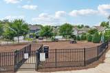 124 Daisy Grove Lane - Photo 71
