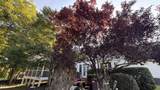 164 Sherman Pines Drive - Photo 31