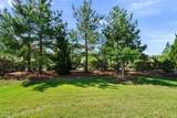209 Rosedale Creek Drive - Photo 22