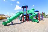 360 Freestall Drive - Photo 35