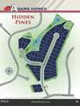 260 Hidden Pines Drive - Photo 31