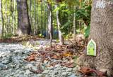 260 Stone Wall Road - Photo 25