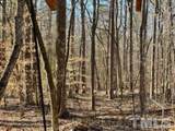 5018 Walnut Grove Church Road - Photo 11