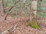 2028 Long Point Trail - Photo 10
