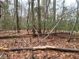 2028 Long Point Trail - Photo 14