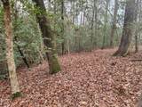 2028 Long Point Trail - Photo 8
