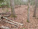 2028 Long Point Trail - Photo 9