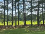 3466 Matthews Mill Pond Road - Photo 3