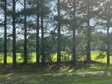 3466 Matthews Mill Pond Road - Photo 4