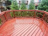 7209 Doverton Court - Photo 9