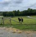 4872 Thom Road - Photo 84