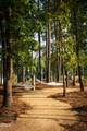 252 Inspiration Way - Photo 47