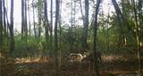 5824 Bluman Road - Photo 9