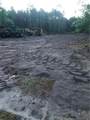 Lot 1 Braddy Road - Photo 4