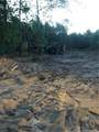 Lot 1 Braddy Road - Photo 5
