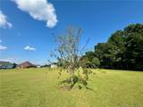 243 Trace Lane - Photo 46