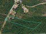 0 Mckoy Loop Road - Photo 1