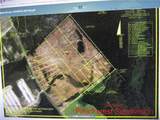 Lot E Survey Drive - Photo 1