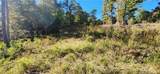 10 Jasmine Road - Photo 14