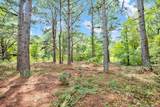00 Blue Woods Road - Photo 31