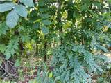 Lot 8 Lemon Springs Road - Photo 9