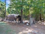 6456 Cedar Creek Road - Photo 22