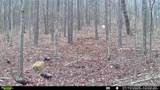 0 J Dowdy Road - Photo 10