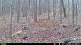 0 J Dowdy Road - Photo 11