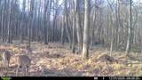 0 J Dowdy Road - Photo 12