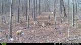 0 J Dowdy Road - Photo 13