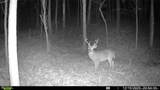 0 J Dowdy Road - Photo 14