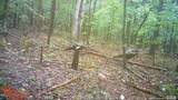 0 J Dowdy Road - Photo 18